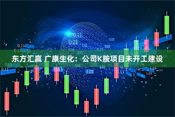 东方汇赢 广康生化：公司K胺项目未开工建设