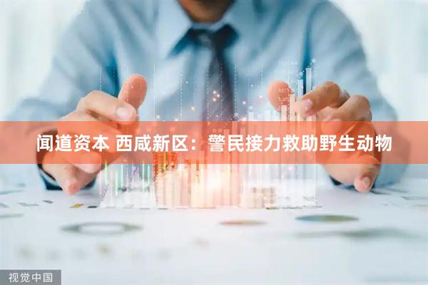 闻道资本 西咸新区：警民接力救助野生动物