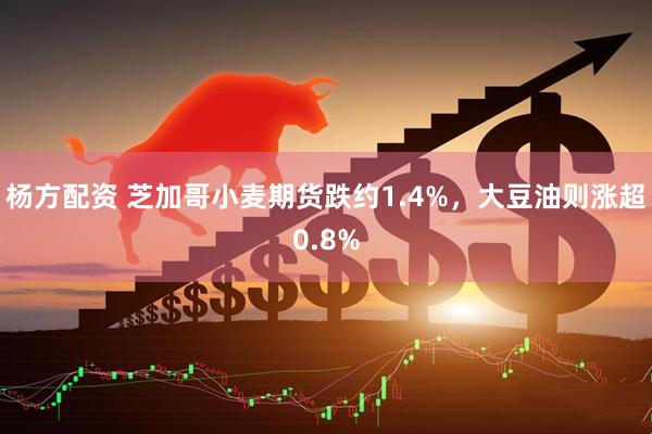 杨方配资 芝加哥小麦期货跌约1.4%，大豆油则涨超0.8%