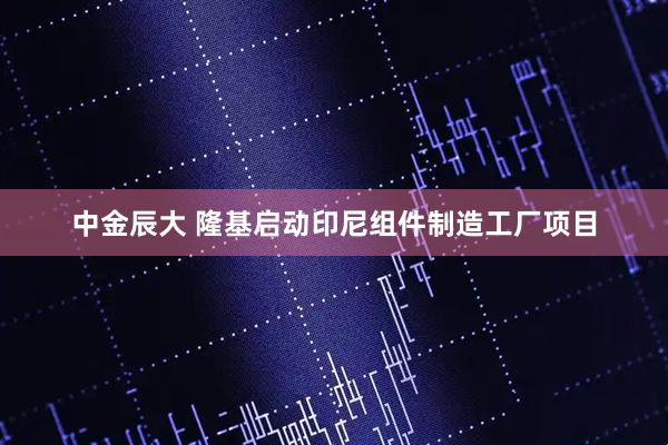 中金辰大 隆基启动印尼组件制造工厂项目