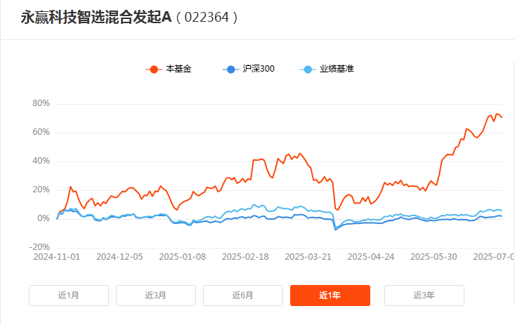 图2：国泰优选领航一年持有2025年6月净值表现