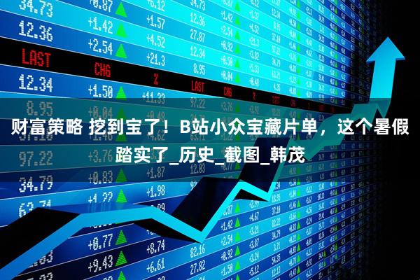 财富策略 挖到宝了！B站小众宝藏片单，这个暑假踏实了_历史_截图_韩茂
