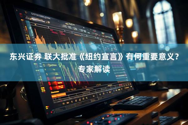 东兴证券 联大批准《纽约宣言》有何重要意义？专家解读