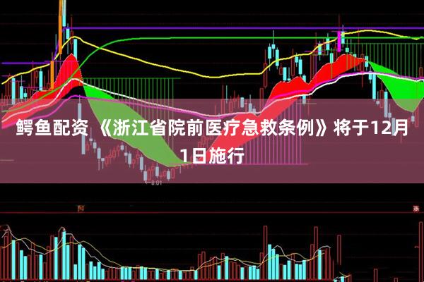鳄鱼配资 《浙江省院前医疗急救条例》将于12月1日施行